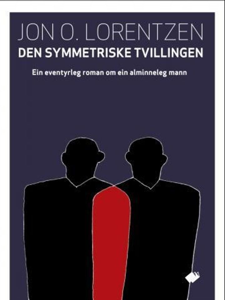 Den symmetriske tvillingen - ein eventyrleg roman om ein alminneleg mann