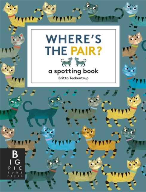 Where''s the Pair?