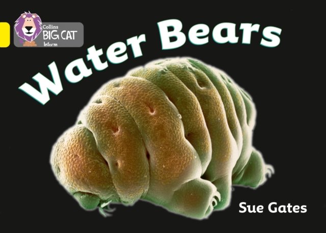 BIG CAT - WATER BEARS