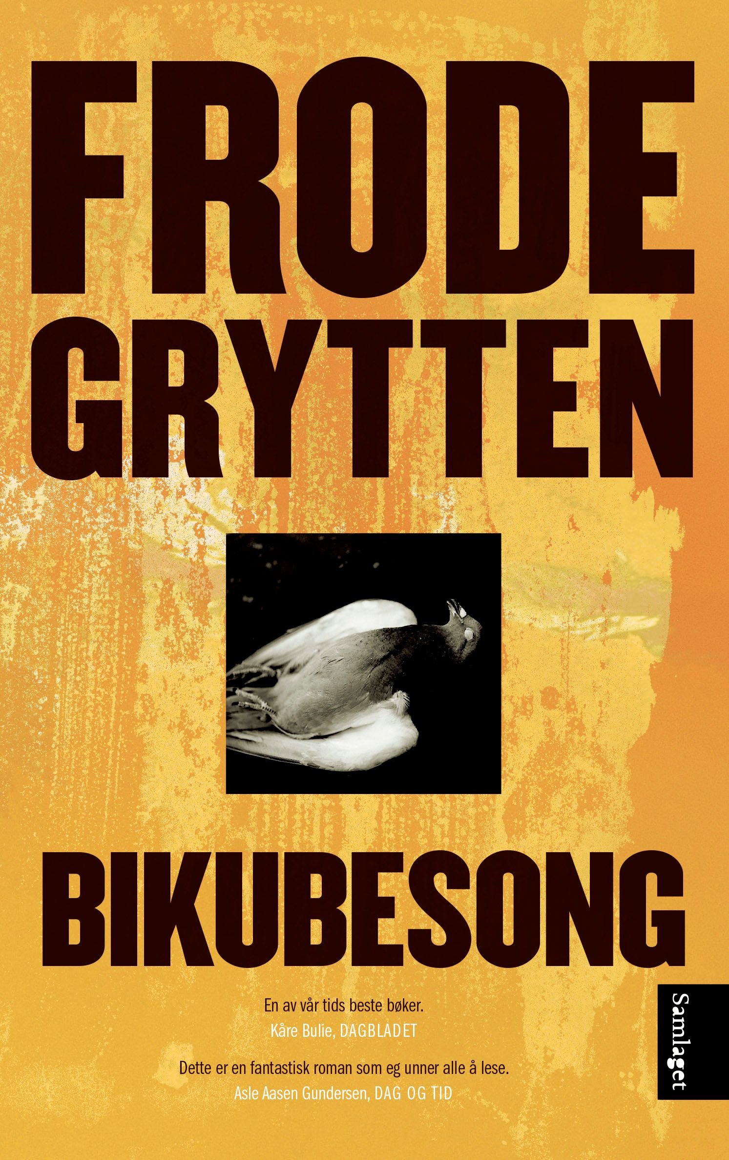 Bikubesong - roman