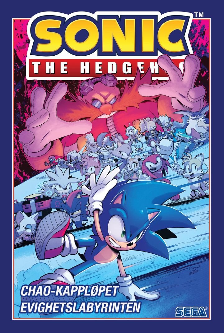 Sonic the Hedgehog - 5 : Chao-kappløpet og Evighetslabyrinten
