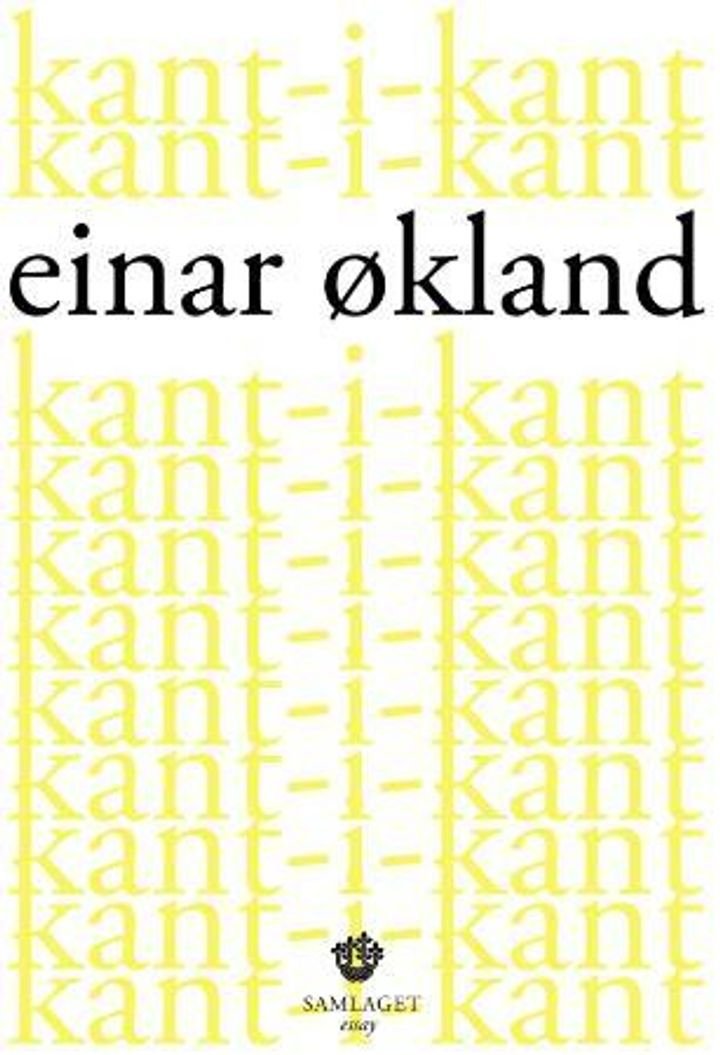 Kant-i-kant - småprosa