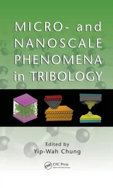 Micro and Nanoscale Phenomena in Tribology