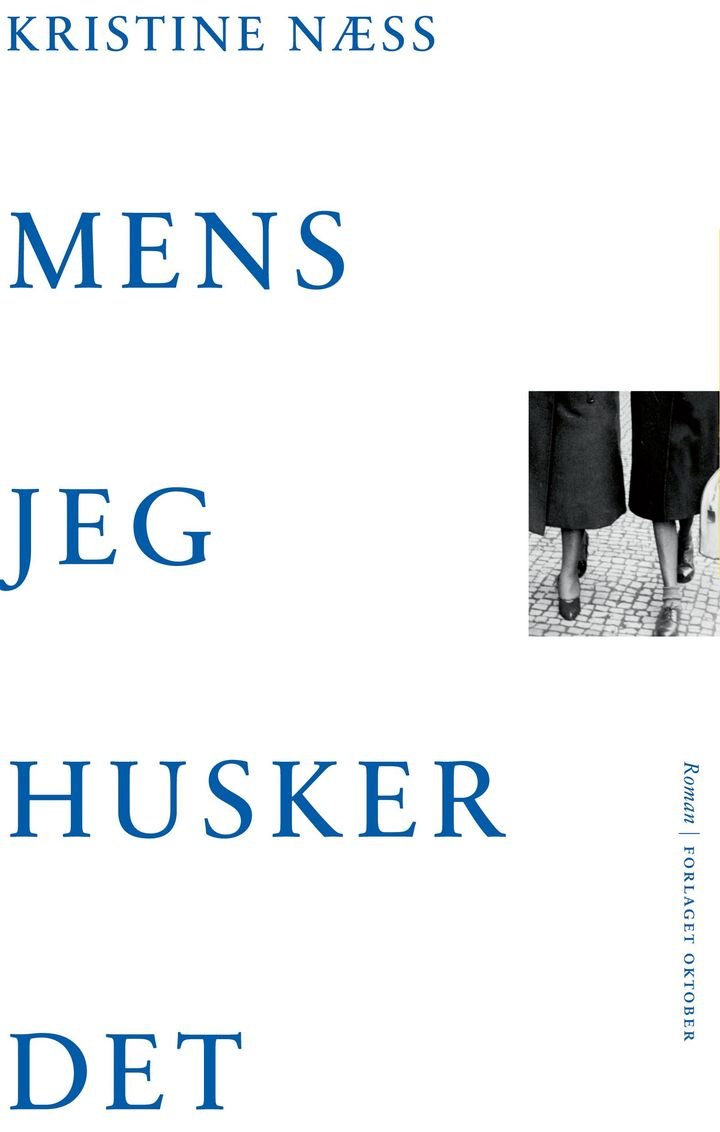 Mens jeg husker det - roman