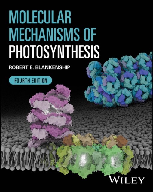 Molecular Mechanisms of Photosynthesis