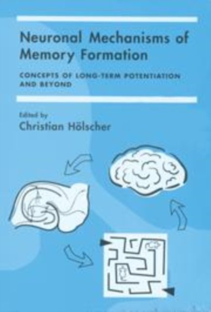 Neuronal Mechanisms of Memory Formation