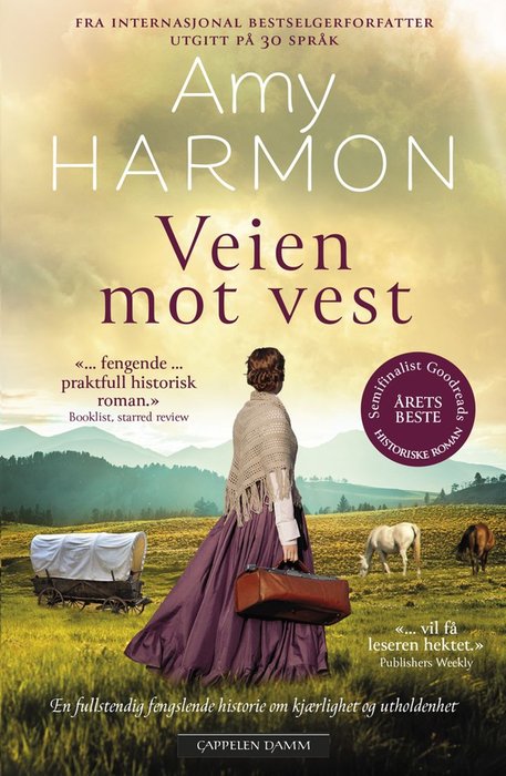 Veien mot vest