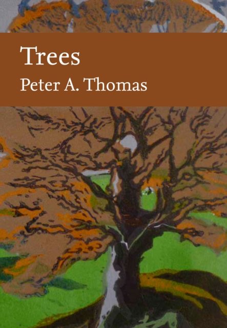 TREES_NN LIB145 HB