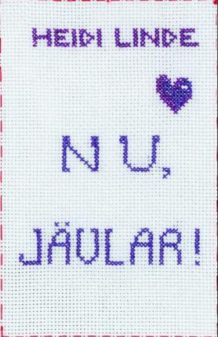 Nu, jävlar! - roman