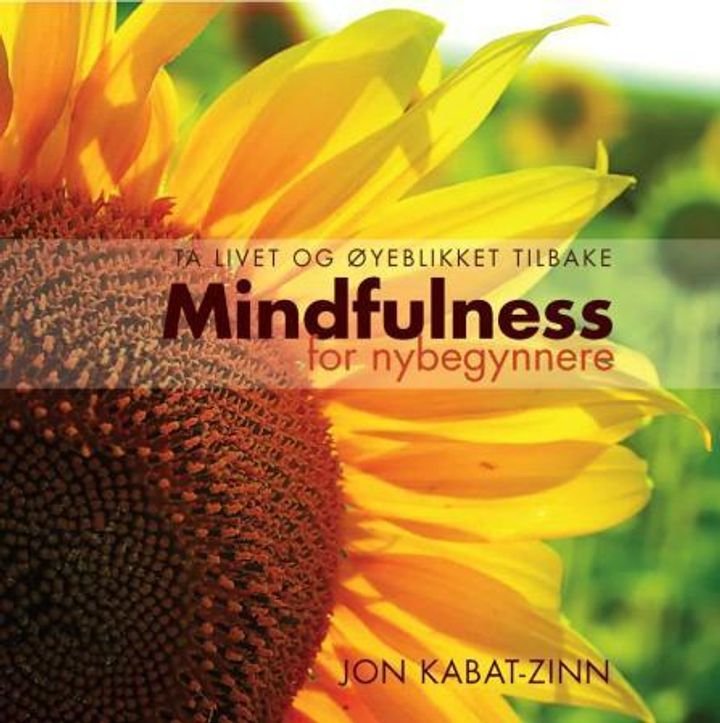 Mindfulness for nybegynnere - ta livet og øyeblikket tilbake