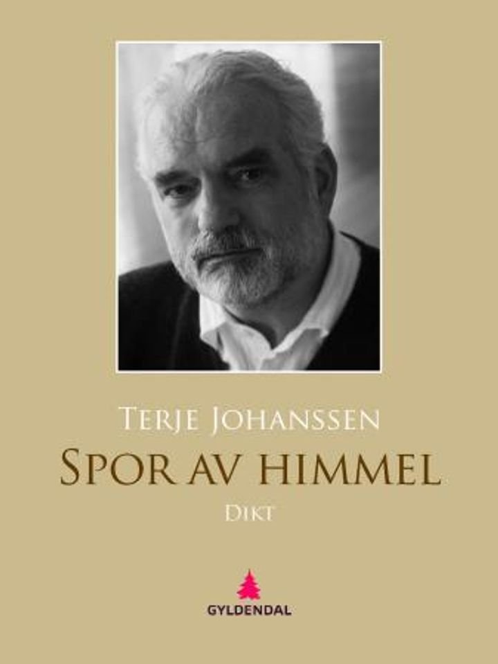 Spor av himmel - dikt