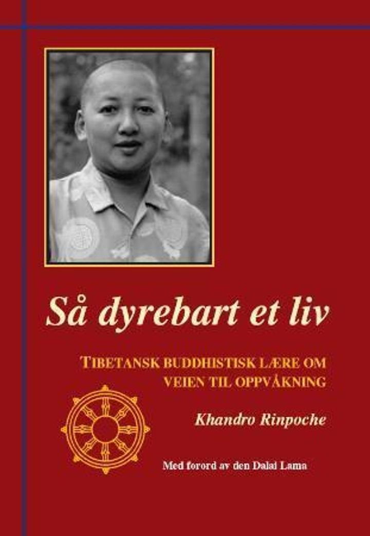 Så dyrebart et liv - tibetansk buddhistisk lære om veien til oppvåkning