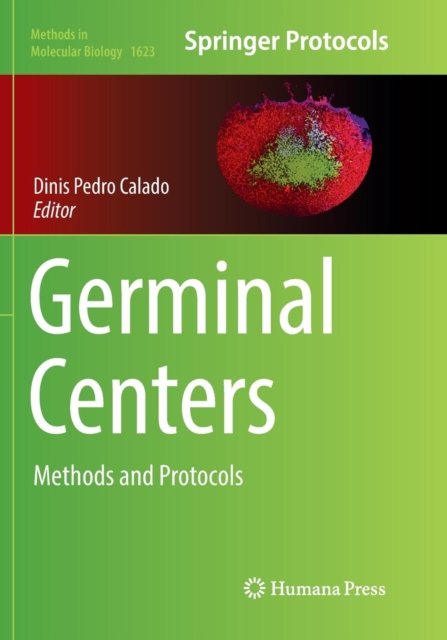 Germinal Centers