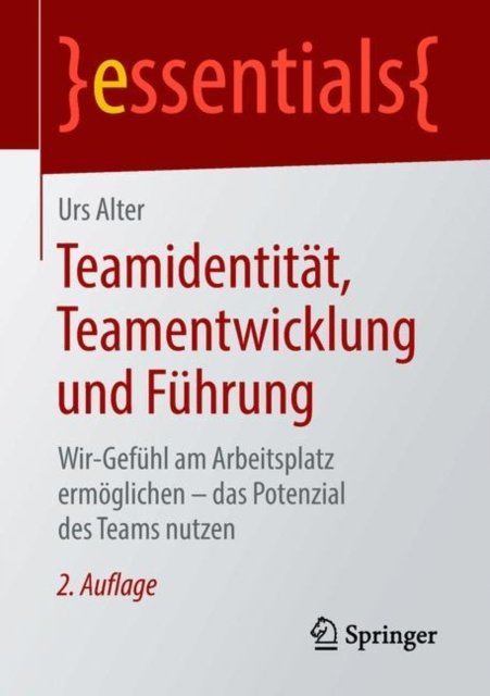 Teamidentitat, Teamentwicklung und Fuhrung