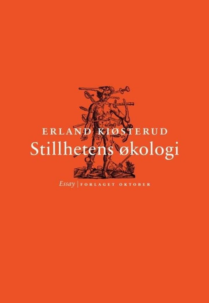 Stillhetens økologi - essay