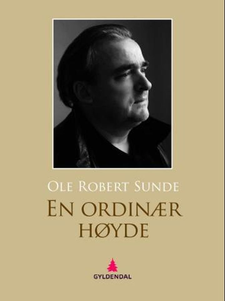 En ordinær høyde - roman