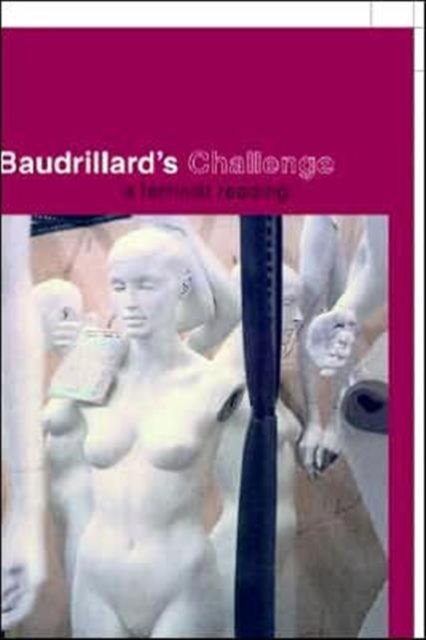 Baudrillard''s Challenge