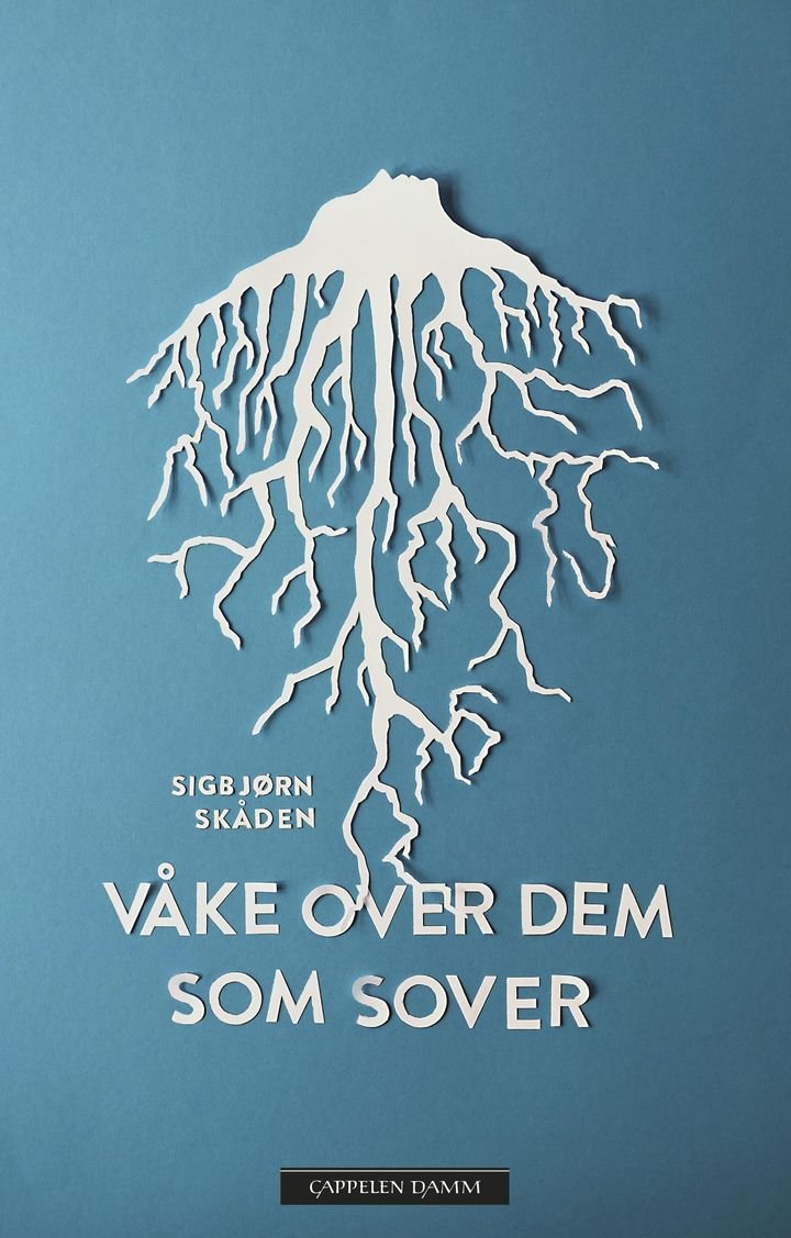 Våke over dem som sover - roman