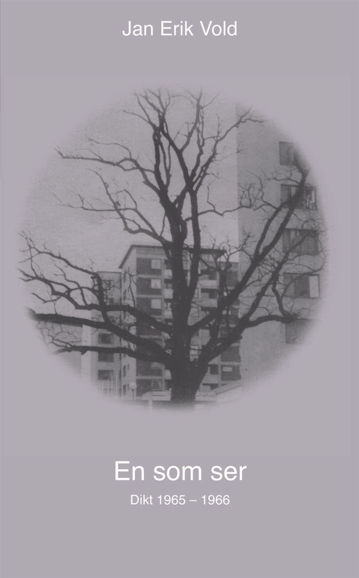 En som ser - dikt 1965-1966