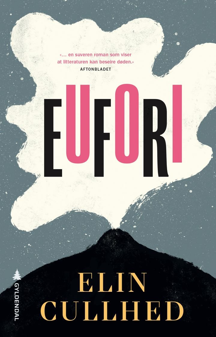 Eufori - en roman om Sylvia Plath