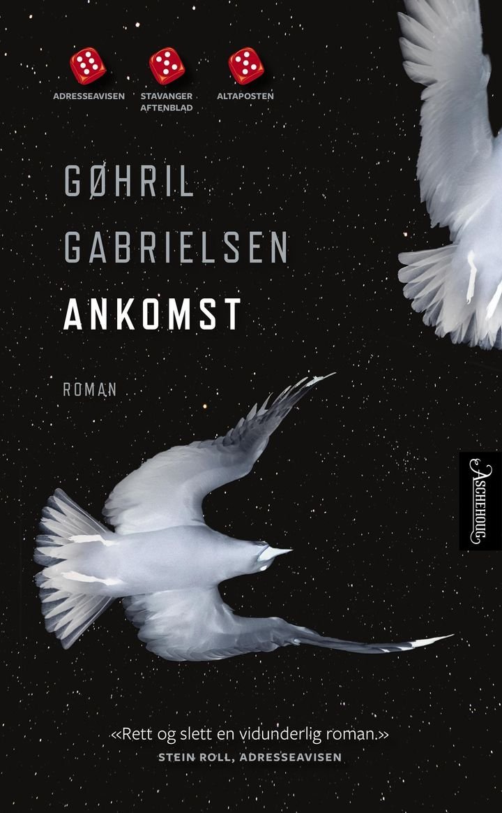 Ankomst - roman