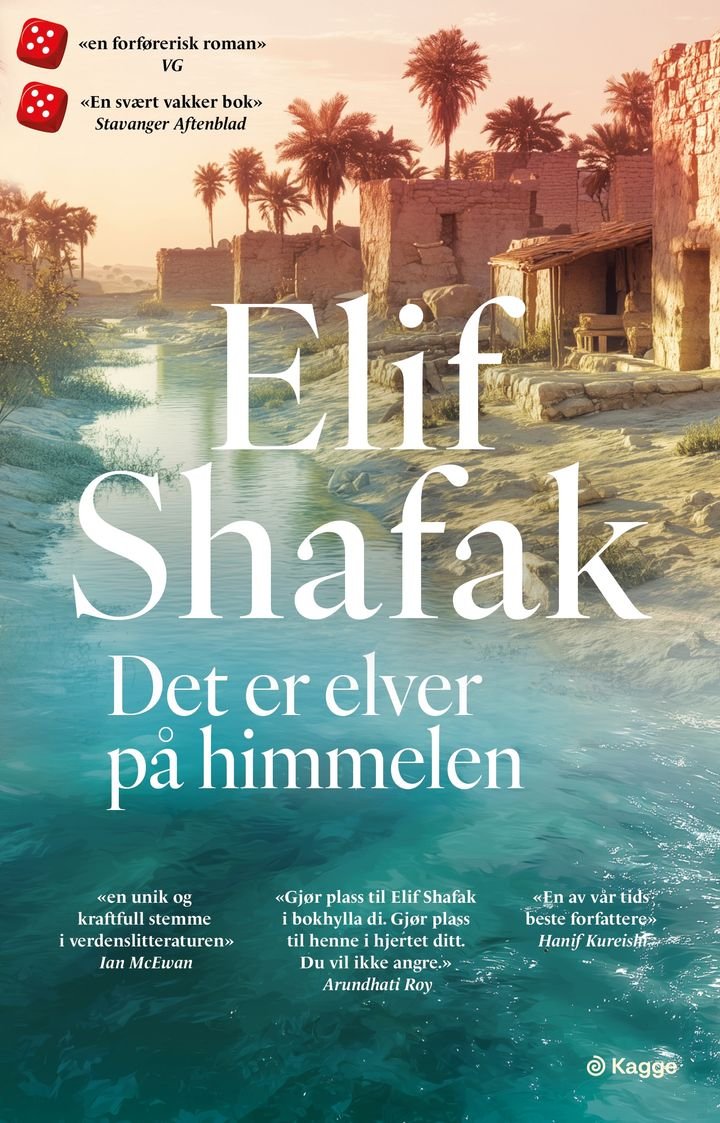 Det er elver på himmelen - roman