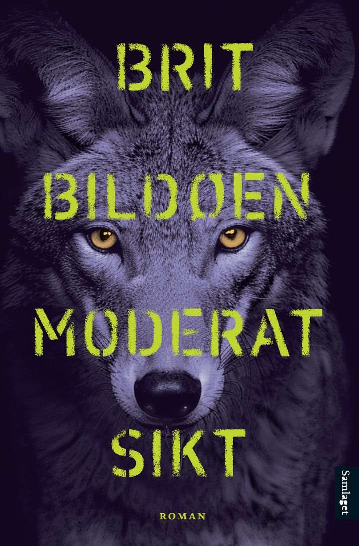 Moderat sikt - roman