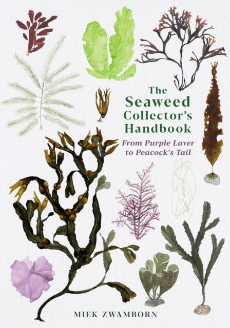The Seaweed Collector''s Handbook