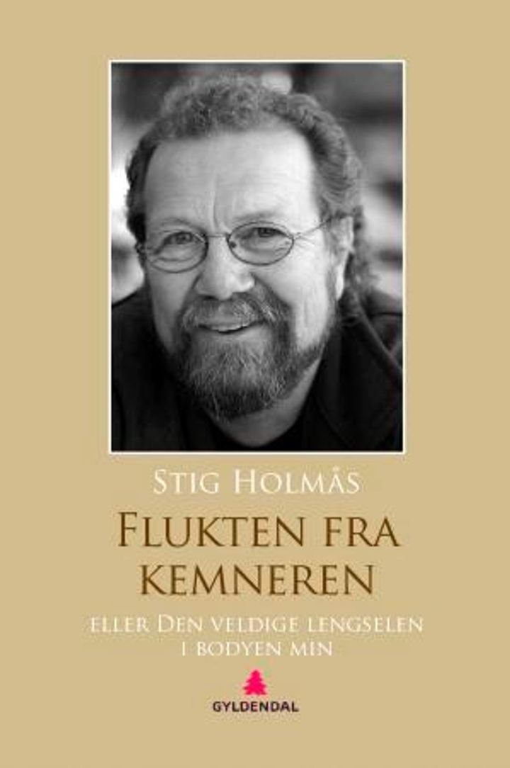 Flukten fra kemneren, eller Den veldige lengselen i bodyen min - roman