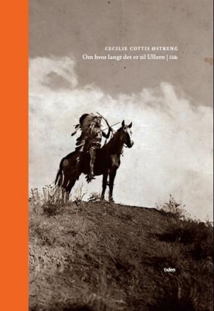 Om hvor langt det er til Ullern - dikt