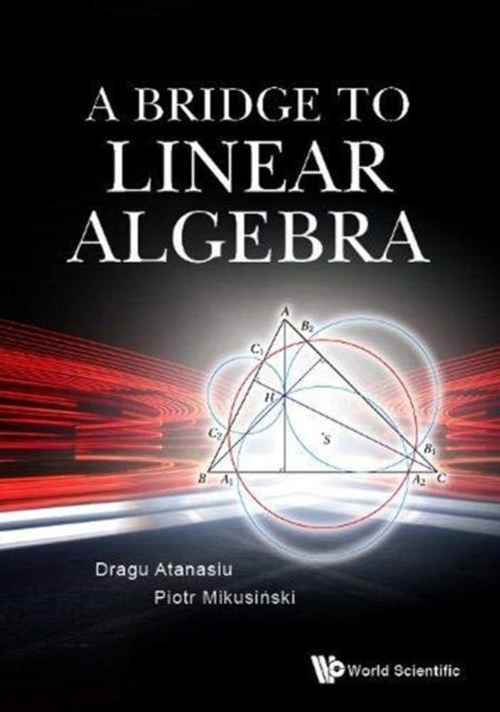 A Bridge to Linear Algebra