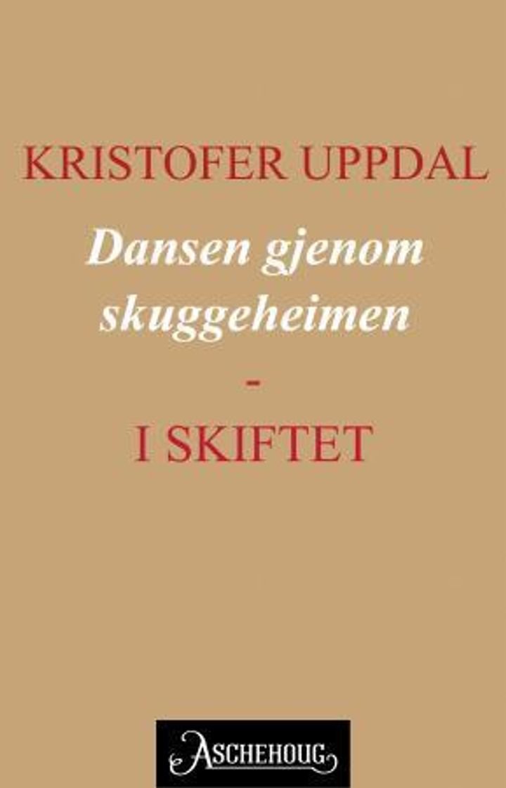 Dansen gjenom skuggeheimen - i skiftet : Tørber Landsem og Mildrianna