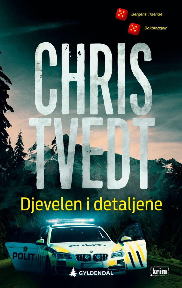 Djevelen i detaljene - kriminalroman