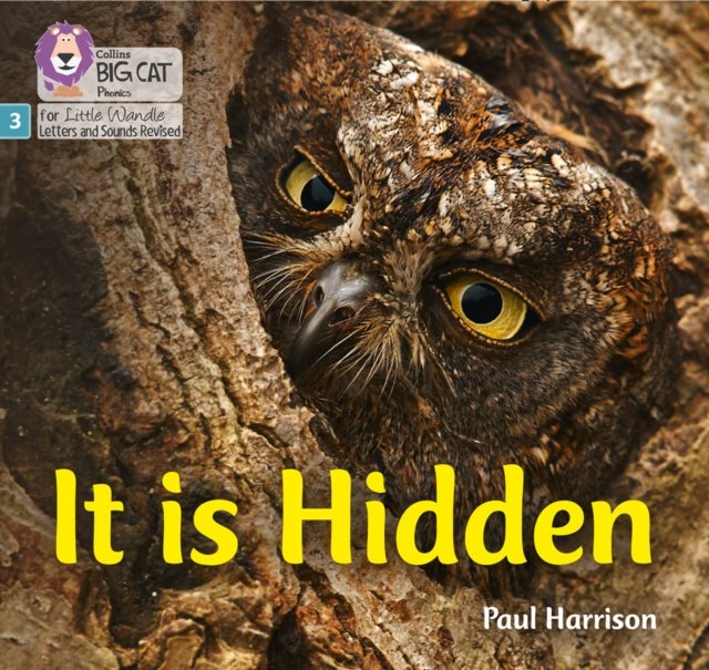 BIG CAT LW L&S _IT IS HIDDEN