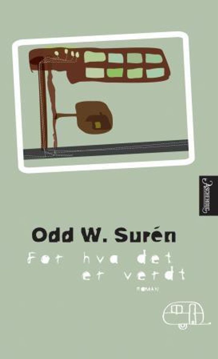 For hva det er verdt - roman