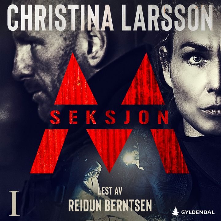 Seksjon M - Del 1