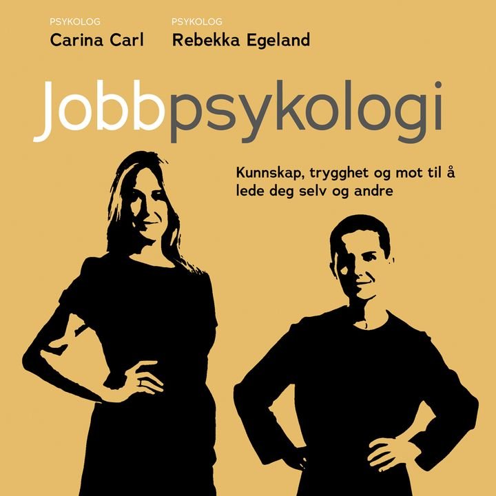 Jobbpsykologi - få kunnskap, trygghet og mot til å lede deg selv og andre