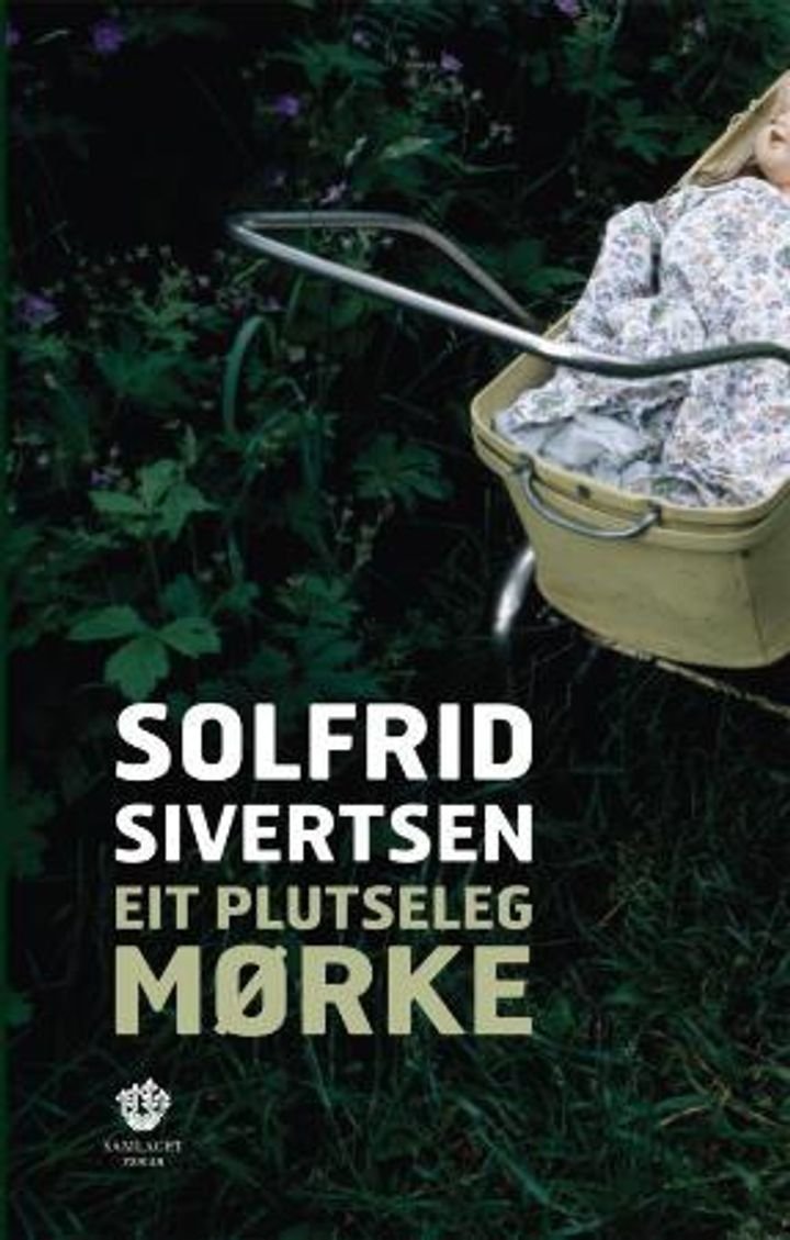 Eit plutseleg mørke - roman