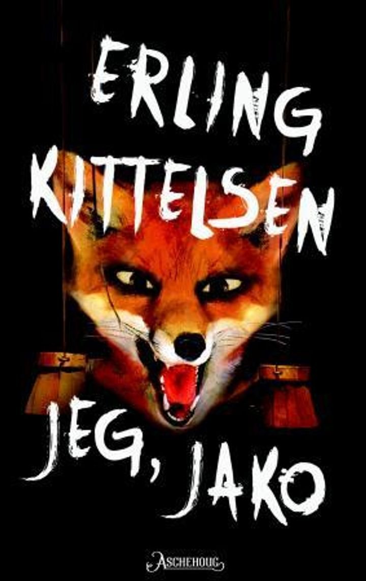 Jeg, Jako - roman
