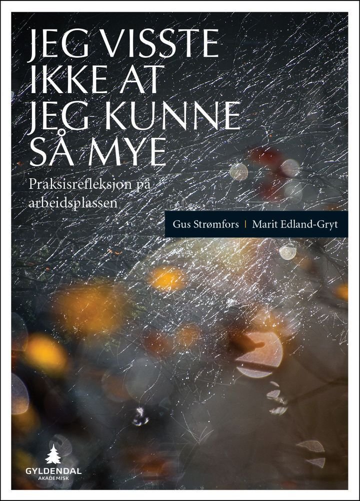 Jeg visste ikke at jeg kunne så mye - praksisrefleksjon på arbeidsplassen