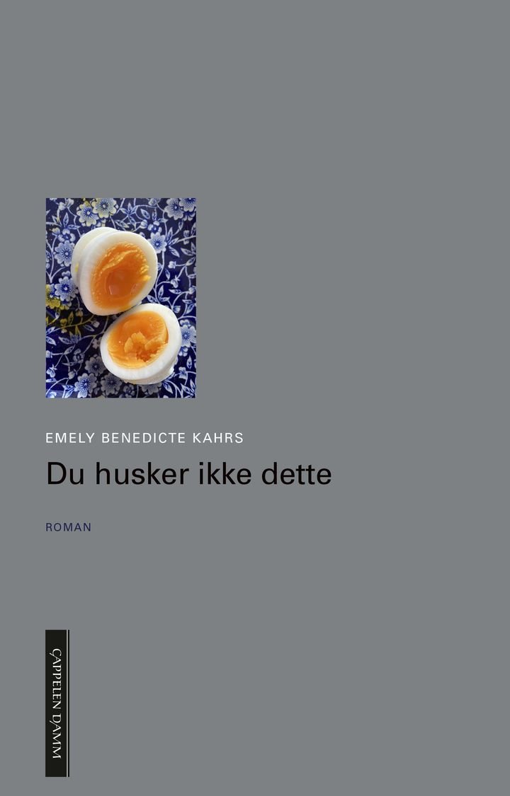Du  husker ikke dette - roman