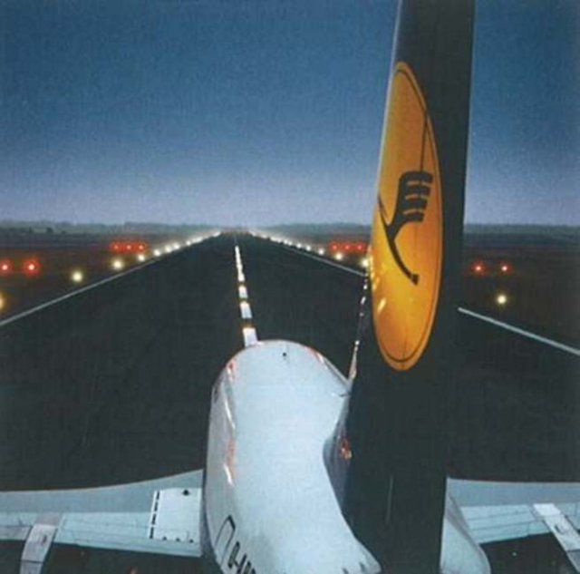 Wings of the Crane