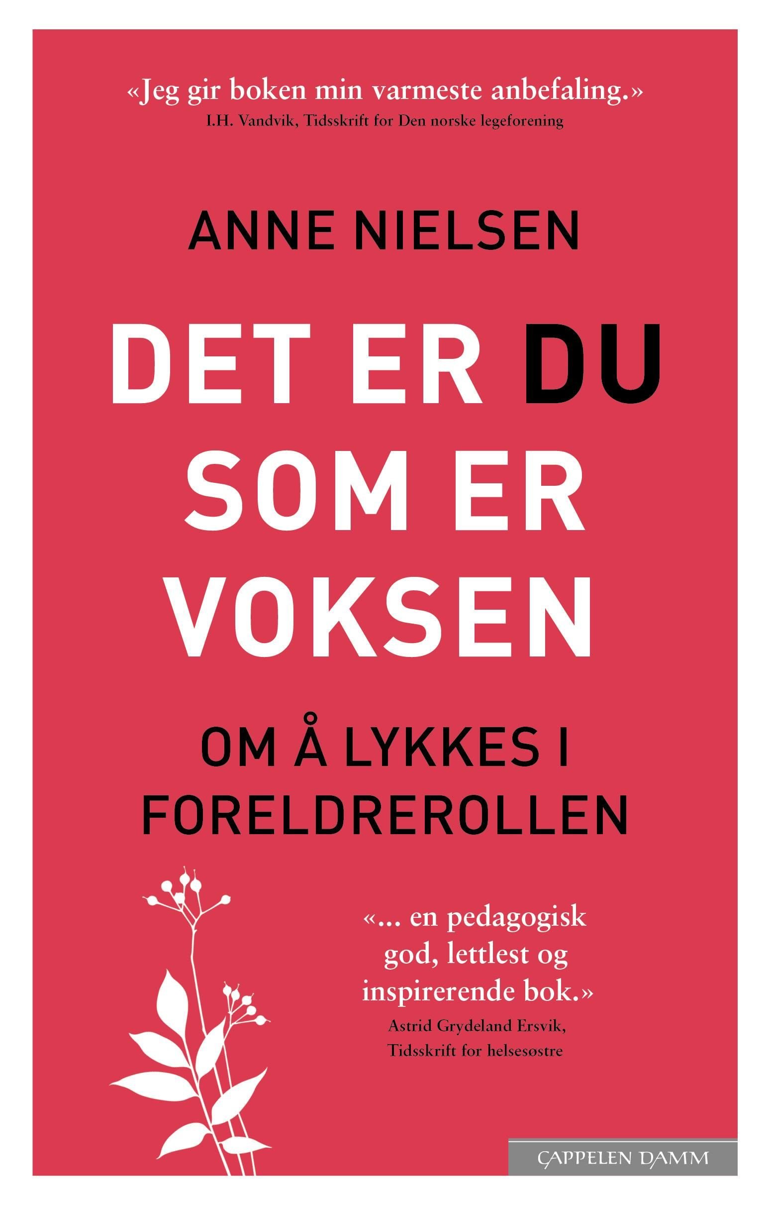 Det er du som er voksen av Anne Nielsen