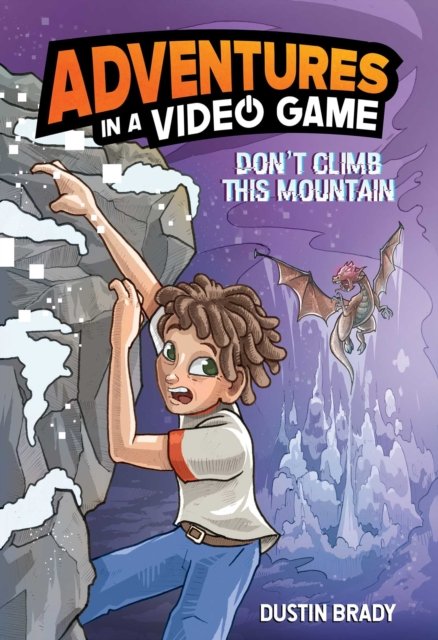 Adventures in a Video Game