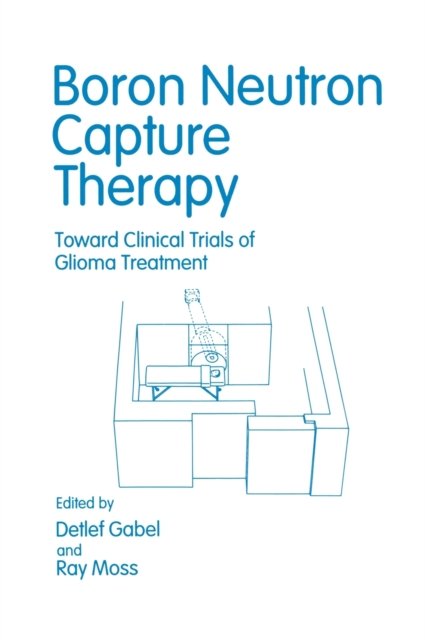 Boron Neutron Capture Therapy