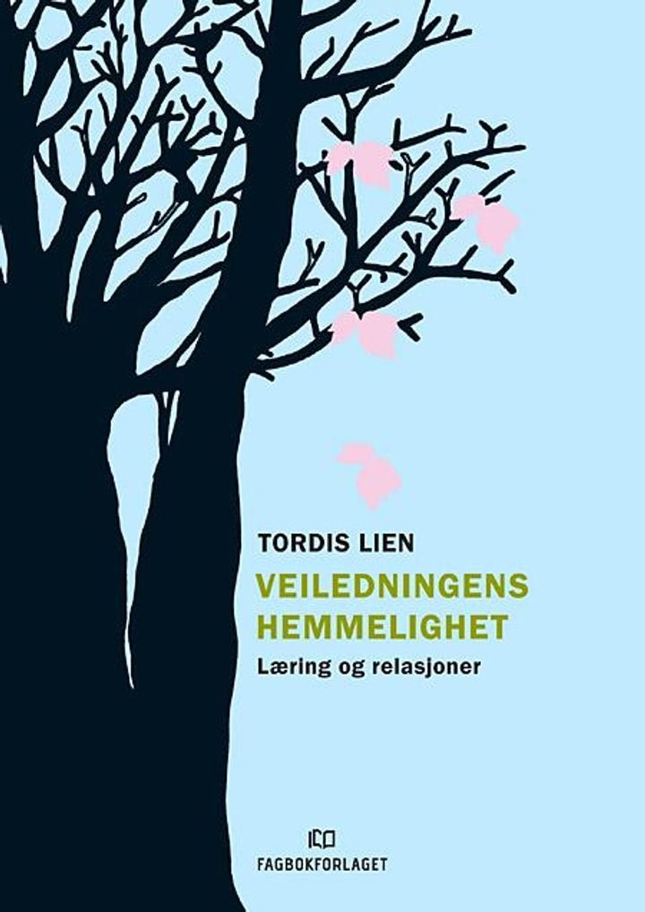 Veiledningens hemmelighet - læring og relasjoner