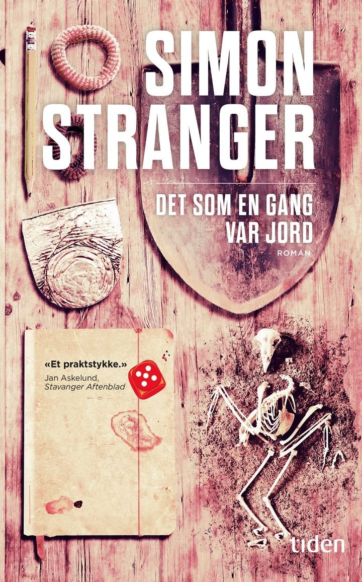 Det som en gang var jord - roman