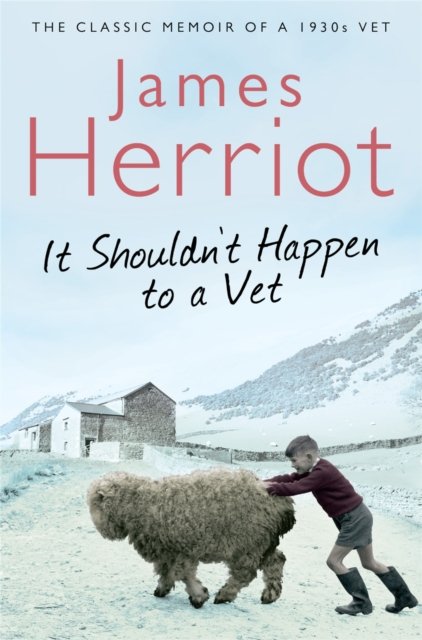 It Shouldn''t Happen to a Vet
