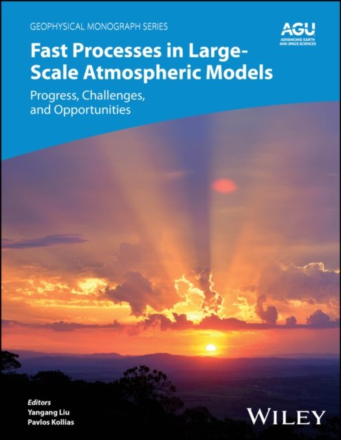 Fast Processes in Large–Scale Atmospheric Models –  Progress, Challenges, and Opportunities