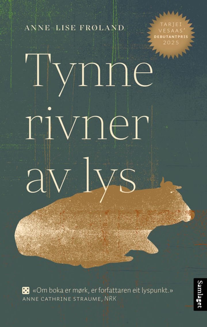 Tynne rivner av lys